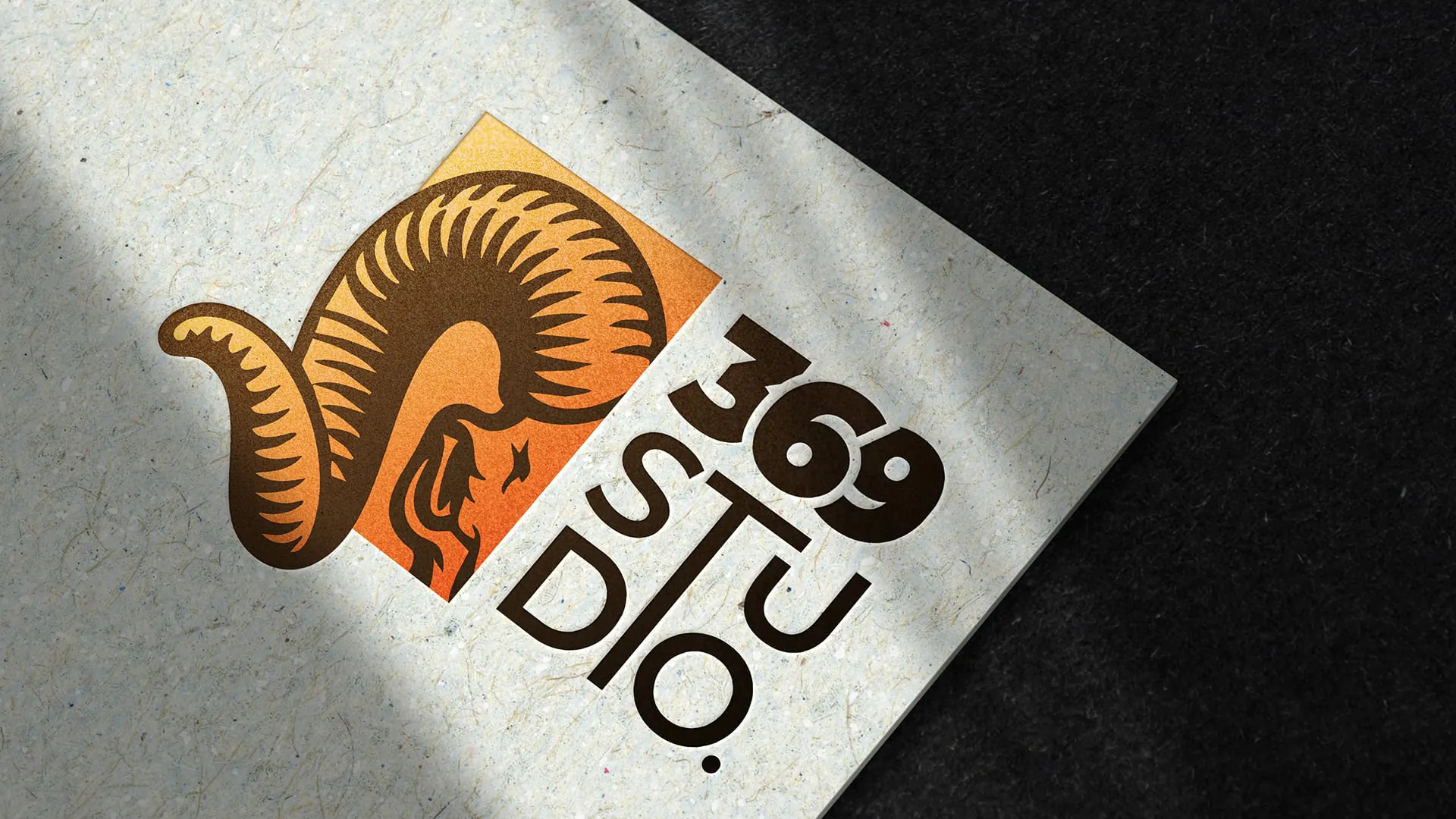 Aplicarea logoului 369 Studio