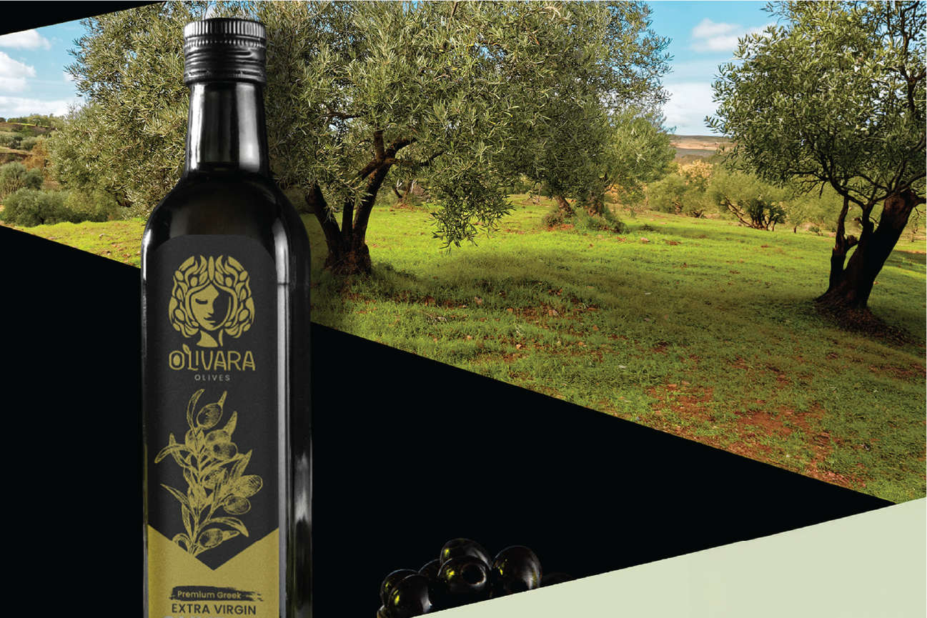 Identitatea Olivara Olives